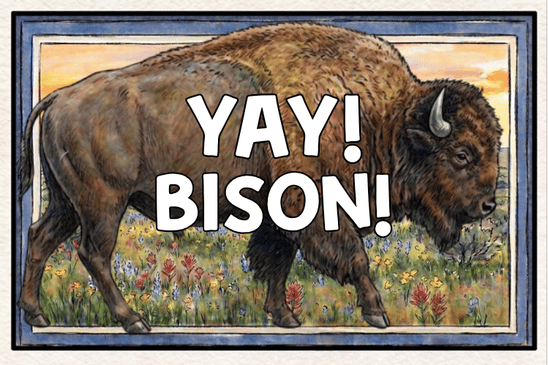 old bison 20 sticker design